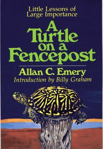 A Turtle on a Fencepost: Little Lessons of Large Importance
