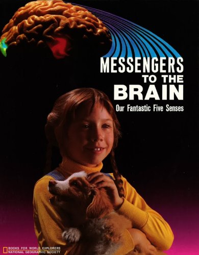 Messengers to the Brain: Our Fantastic Five Senses