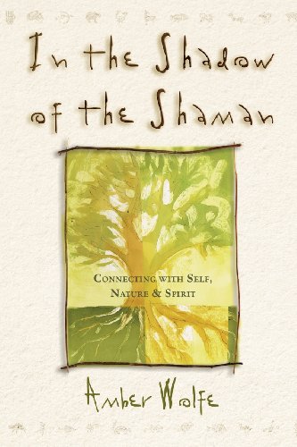 In the Shadow of the Shaman: Connecting with Self, Nature & Spirit (Llewellyn's New Worlds Spirituality Series)