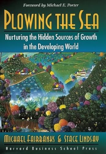 Plowing the Sea: Nurturing the Hidden Sources of Growth in the Developing World