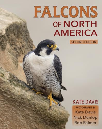 Falcons of North America