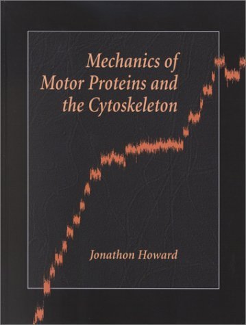 Mechanics of Motor Proteins and the Cytoskeleton