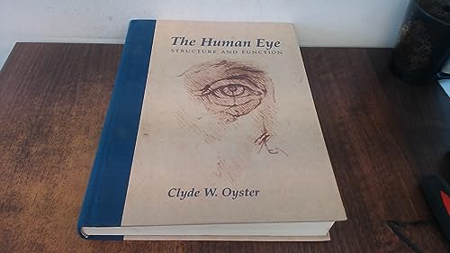 The Human Eye: Structure and Function