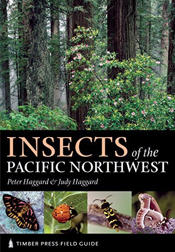 Insects of the Pacific Northwest (Timber Press Field Guide)
