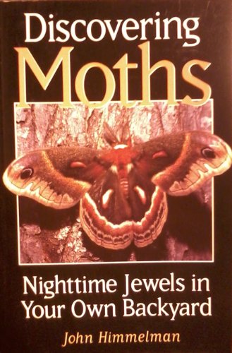 Discovering Moths: Nighttime Jewels in Your Own Backyard