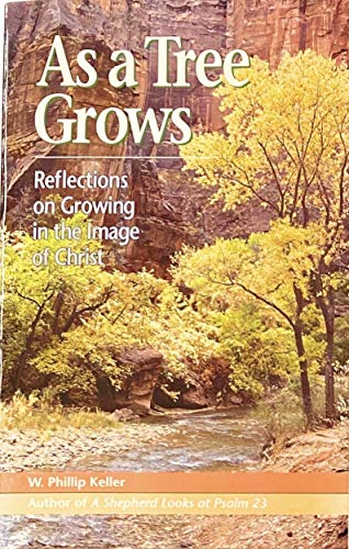 As a Tree Grows: Reflections on Growing in the Image of Christ
