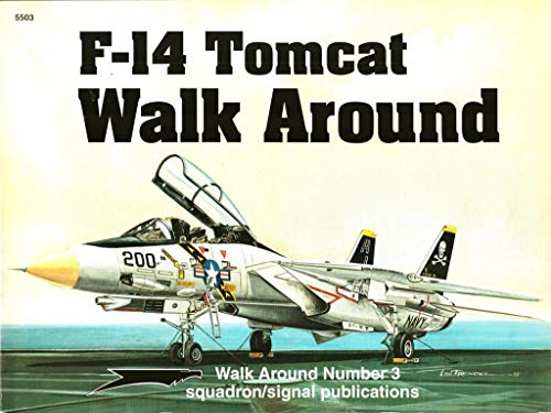 F-14 Tomcat Walk Around (Walk Around No. 3)