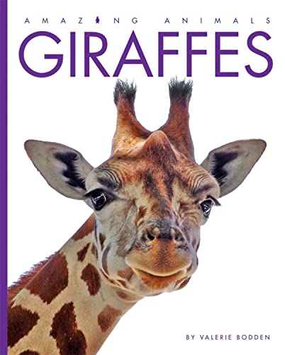 Amazing Animals: Giraffes