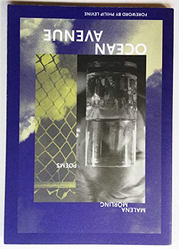 Ocean Avenue (The New Issues Press Poetry Series)