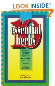 10 Essential Herbs