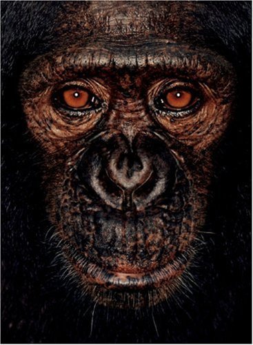 James & Other Apes