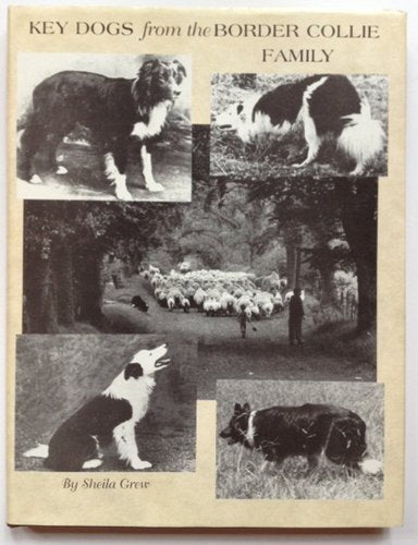 Key Dogs from the Border Collie Family