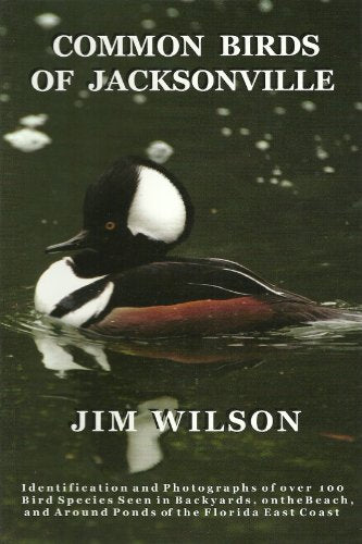 Common Birds of Jacksonville