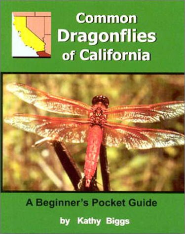Common Dragon Flies of California: A Beginner's Pocket Guide