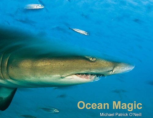 Ocean Magic