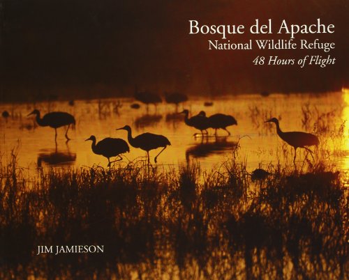 No Image Available