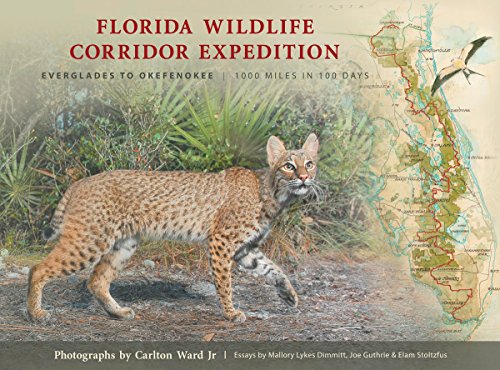 Florida Wildlife Corridor Expedition