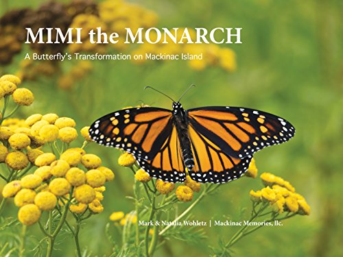 MIMI the MONARCH, a butterfly's transformation on Mackinac Island