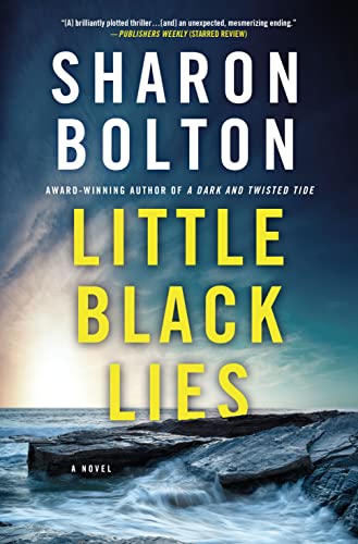 Little Black Lies: A Novel