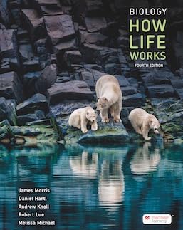 Biology: How Life Works, 4th edition, Paperback