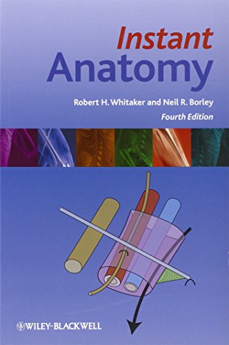 Instant Anatomy
