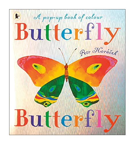 Butterfly Butterfly