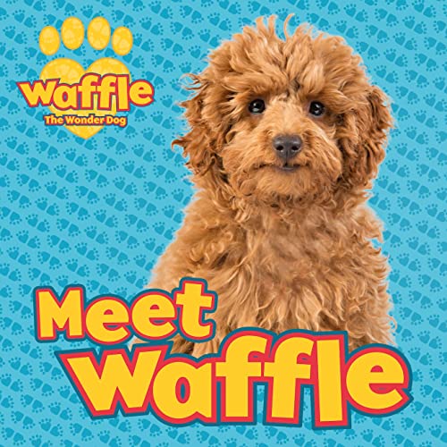 Meet Waffle! (Waffle the Wonder Dog)