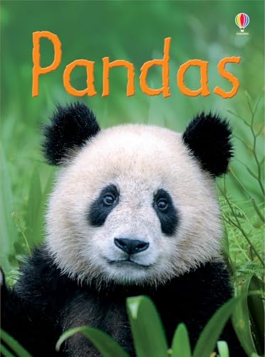 Pandas (Beginners Series)