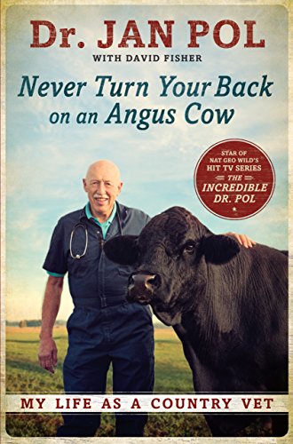 Never Turn Your Back On An Angus Cow