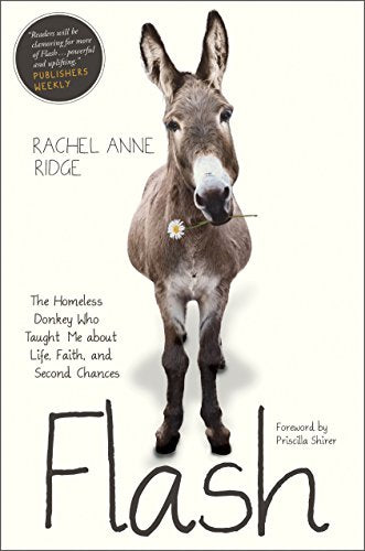 Flash: The Homeless Donkey Who Taught Me about Life, Faith, and Second Chances (Flash the Donkey)