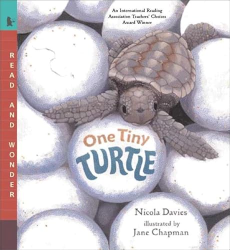 One Tiny Turtle: Read And Wonder