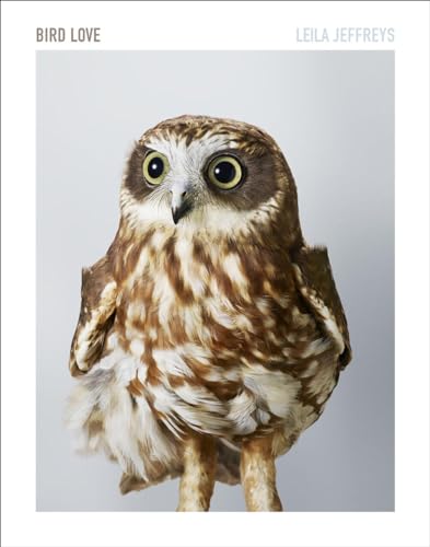 No Image Available