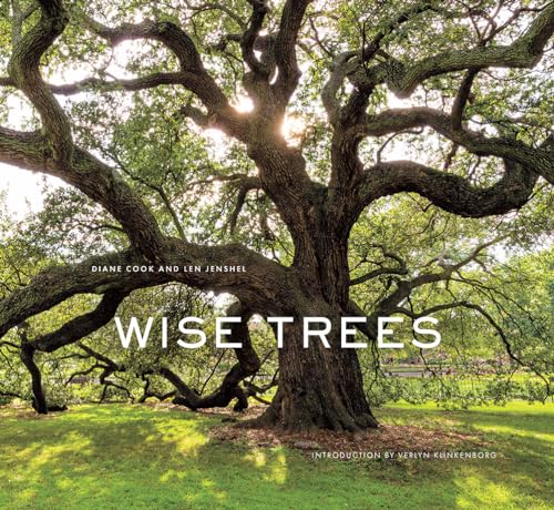 Wise Trees: Ancient trees photographed worldwide, each holding centuries of history in gnarled bark and roots.