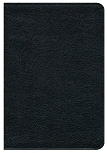 No Image Available