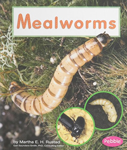 Mealworms (Pebble Books: Watch It Grow)