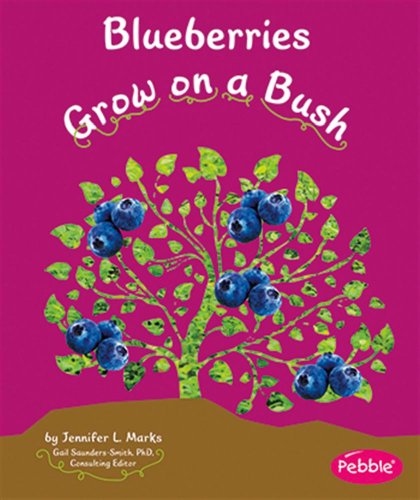 Blueberries Grow on a Bush (How Fruits and Vegetables Grow)
