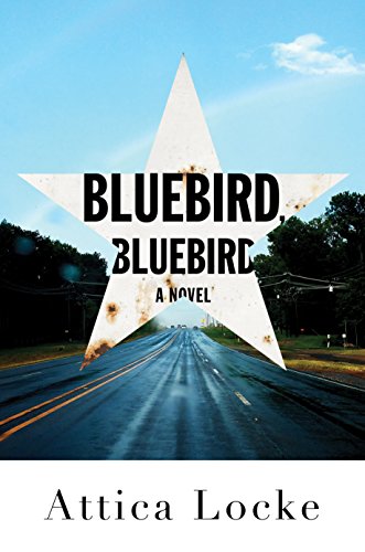 Bluebird, Bluebird (Thorndike Press Large Print African-American)