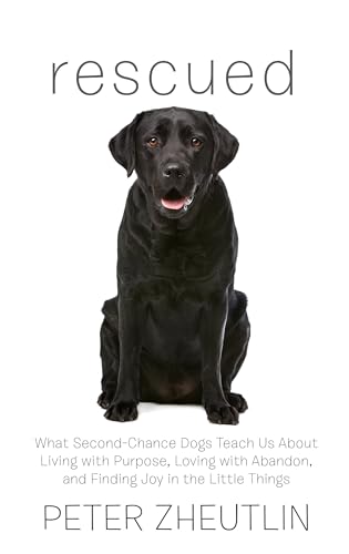 No Image Available