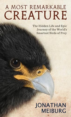 A Most Remarkable Creature (Thorndike Press Large Print Nonfiction)