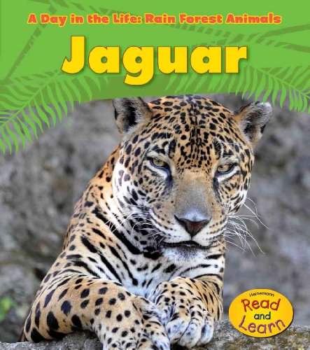 Jaguar (A Day in the Life: Rain Forest Animals)