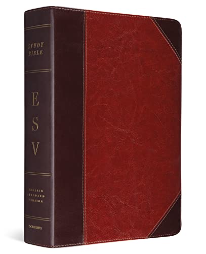 ESV Study Bible (TruTone, Brown/Cordovan, Portfolio Design)