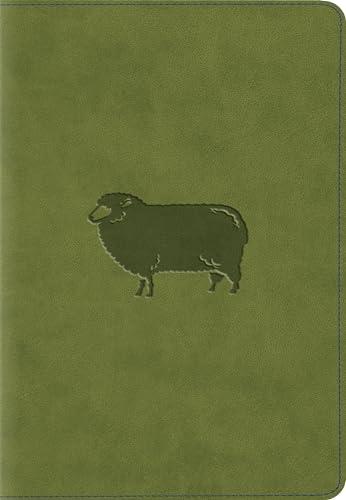 No Image Available