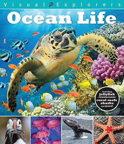 Ocean Life (Visual Explorers Series)