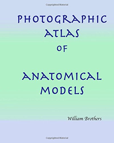 Photographic Atlas of Anatomical Models