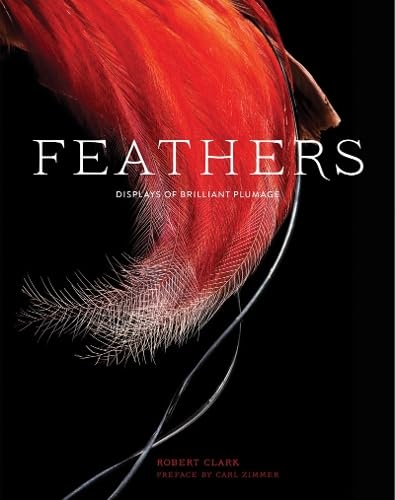 Feathers: Displays of Brilliant Plumage