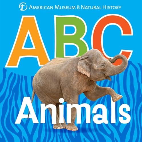 No Image Available