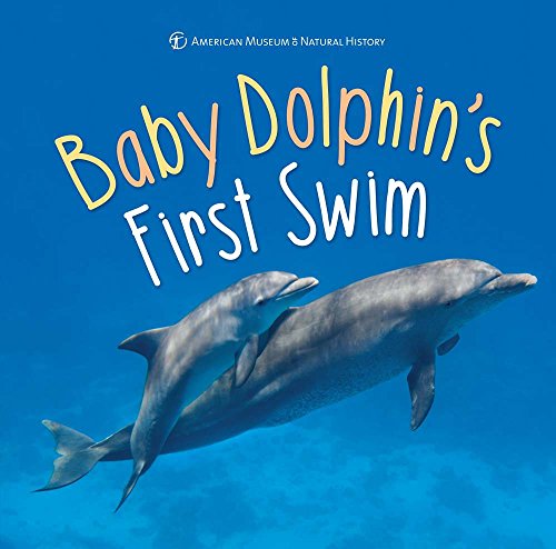 Baby Dolphin's First Swim (First Discoveries)