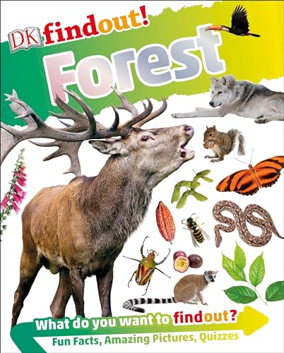DKfindout! Forest
