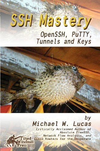 Ssh Mastery: Openssh, Putty, Tunnels and Keys