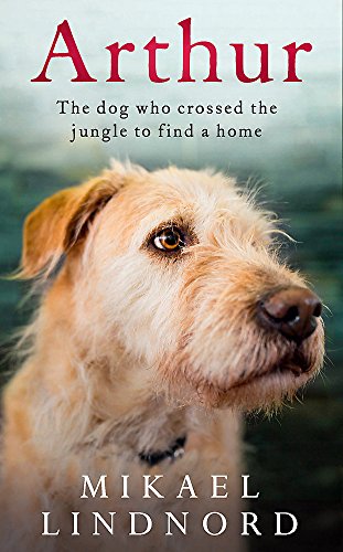 Arthur: The dog who crossed the jungle to find a home